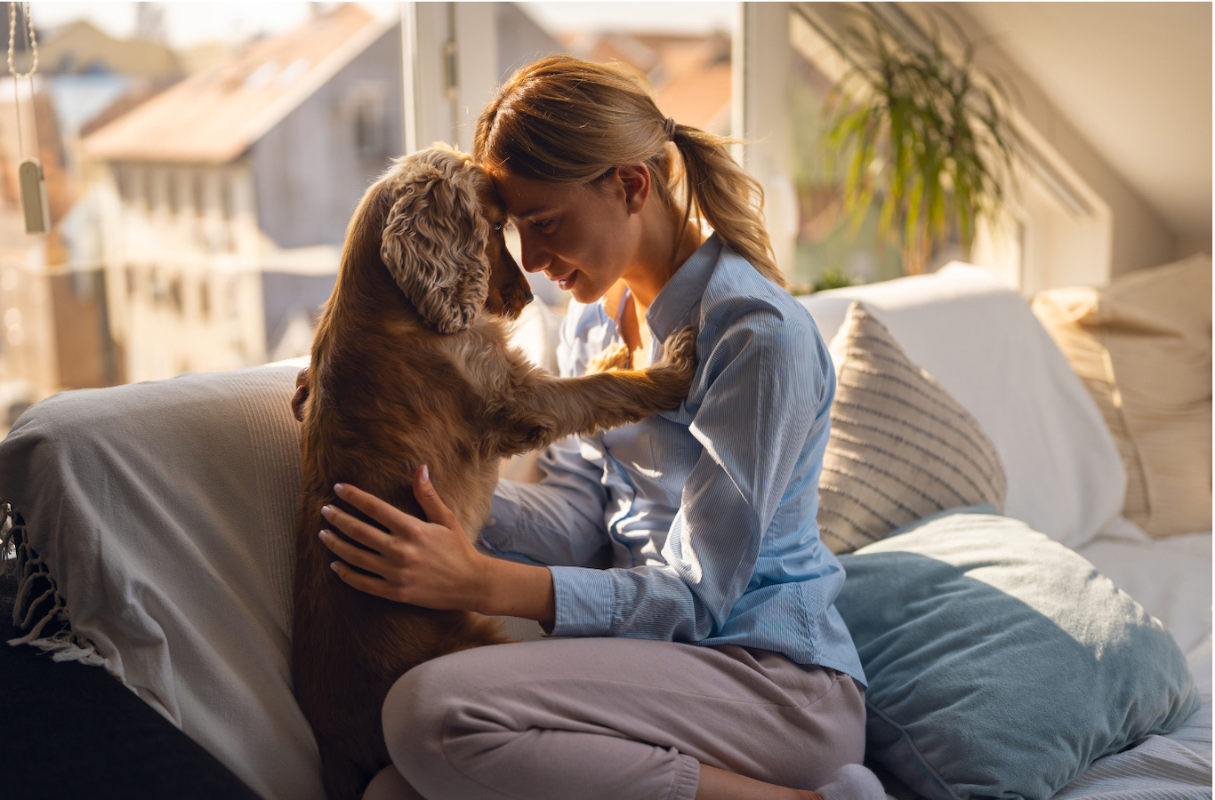 A blonde woman hugging her Cocker Spaniel on the sofa.