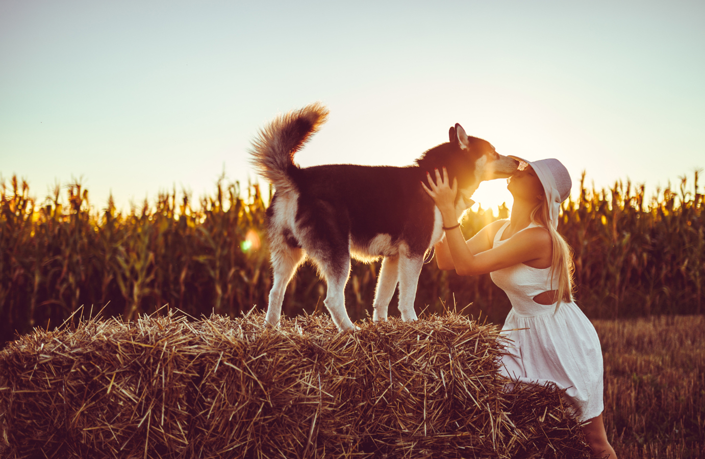 A woman dressed in white kissing her dog who is sitting on top of a haystack.