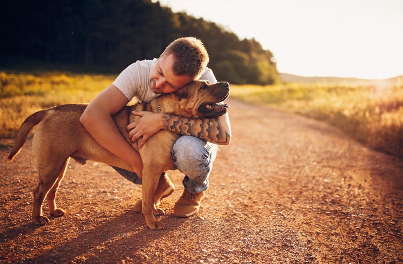 A man hugging his brown dog.